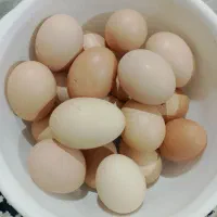 تخم مرغ محلی