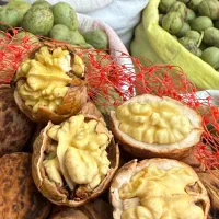 خرید بادام و گردو