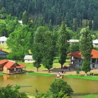 فروش یک زمین مسکونی در شمال