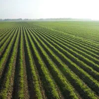 زمین کشاورزی سرچشمه