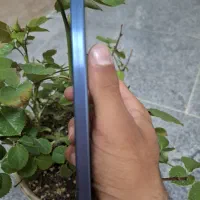 a55  5g|موبایل|مشهد, کوی دروی|دیوار
