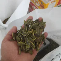 تخمه چینی اعلا درجه ۱