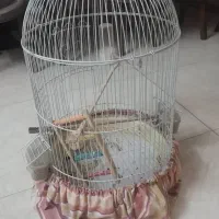 قفس پرنده نو