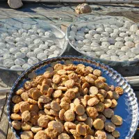کشک|خوردنی و آشامیدنی|سیروان, |دیوار