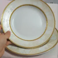 ظروف چینی