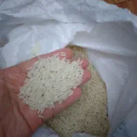 برنج هاشمی