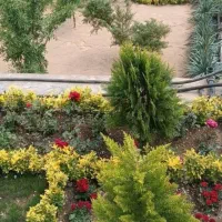 خدمات باغبانی تعویض خاک گلدان کاشت گل فضای سبز