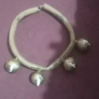 قلاده سگ