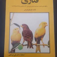 قناری،مرغ عشق و آنجل