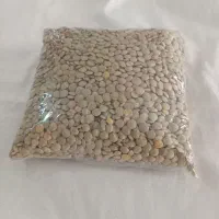 عدسی|خوردنی و آشامیدنی|تبریز, |دیوار