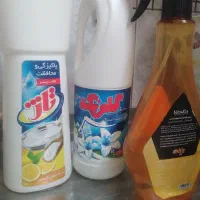 نظافتچی در شهر ری
