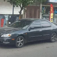 ماکسیما
