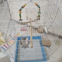 دوعدد قفس بزرگ وسالم باوسایل