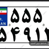 پلاک گم شده