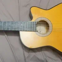 گیتار دیاموند