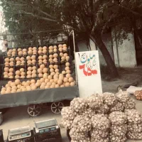 ارابه میوه فروشی