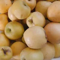 سیب تردوخوشمزه