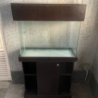 اکواریوم شیشه خم
