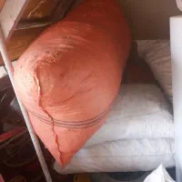 نان خشک|لوازم جانبی حیوانات|چناران, |دیوار