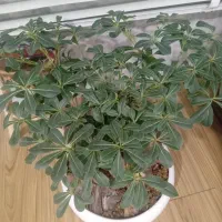 پرستاری از کودک