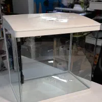 آکواریوم دلسا