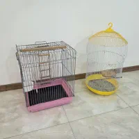 قفس طوطی