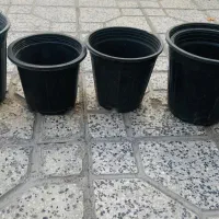 گلدان پلاستیکی