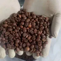 فروش عمده قهوه