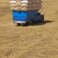 کاه درجه یک ۲سرویس ارسال به تمام نقاط