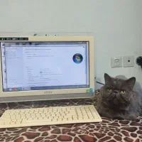 کامپیوتر رو میزی MSI