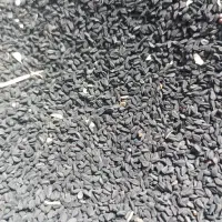 سیا دانه طبیعی