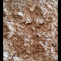 نان خشک گل نون درجه یک تحویل درب انباری