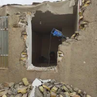 تخریب و کنده کاری با پیکور