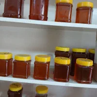 عسل ۱۰۰٪طبیعی صخره ای کوهی برداشت از کوهستان خلخال
