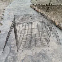 قفس مرغ عشق....