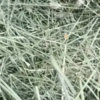 علف پرس شده