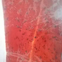 عمده لواشک و انواع ترشک