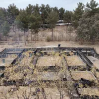 ارماتور و قالب بندی ایرانمنش