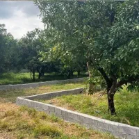 زمین-باغی-مناسب-برای-سرمایه-گذاری-اقساطی