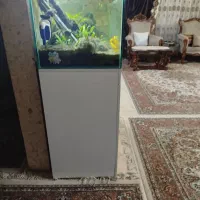 آکواریوم پلنت