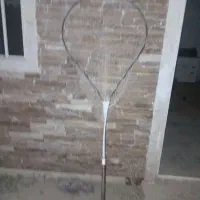 تور کفتر گیری