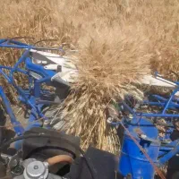 دروگر گندم و جو