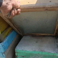 کندوی زنبور