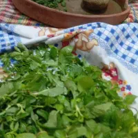دلال دستی وانواع ترشیجات