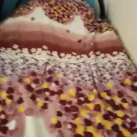تخت