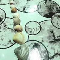 صدف|صنایع دستی و سایر لوازم تزئینی|بروجرد, |دیوار