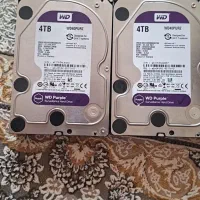 هارد ۴ترابایت وستر بنفش
