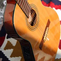گیتار آیبانز تین بادی Ibanez Thinline Cutaway