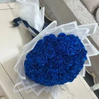 گل روبانی