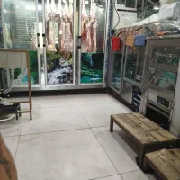 شاگرد قصاب